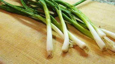 how to chop green onions scallions no recipe required how to chop green onions scallions no recipe required