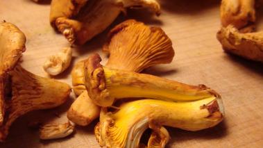 Sauteed Chanterelles