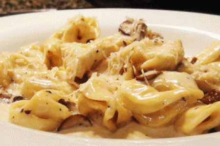 Tortellini with Mushroom Alfredo Sauce